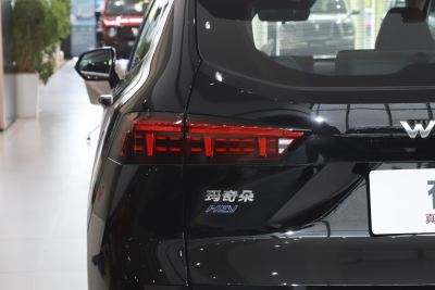 2021款 1.5L DHT特调版-外观-图片-有驾