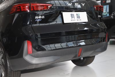 2021款 1.5L DHT特调版-外观-图片-有驾