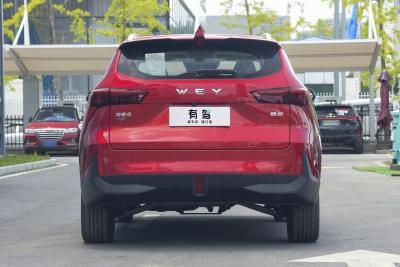 2021款 1.5L DHT特调版-外观-图片-有驾