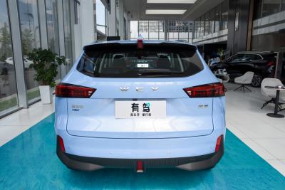 2021款 1.5L DHT特调版-外观-图片-有驾