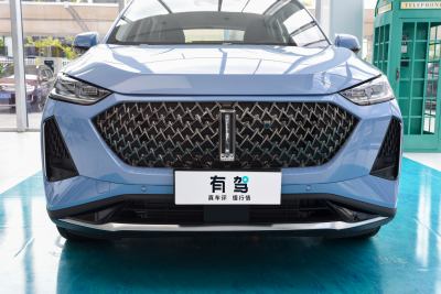 2021款 1.5L DHT特调版-外观-图片-有驾