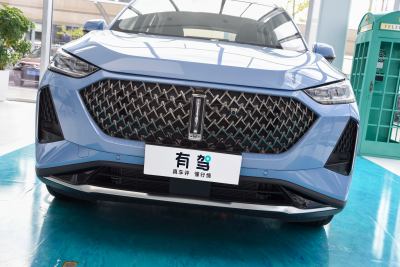 2021款 1.5L DHT特调版-外观-图片-有驾