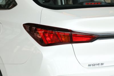 2022款 EV460 智焕网约版 磷酸铁锂-外观-图片-有驾