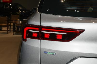 2025款 EcoBoost 170 铂领型-外观-图片-有驾