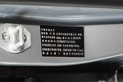 2025款 EcoBoost 170 铂领型-外观-图片-有驾