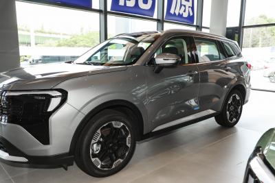 2025款 EcoBoost 170 铂领型-外观-图片-有驾