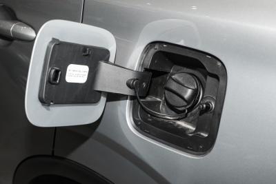 2025款 EcoBoost 170 铂领型-外观-图片-有驾