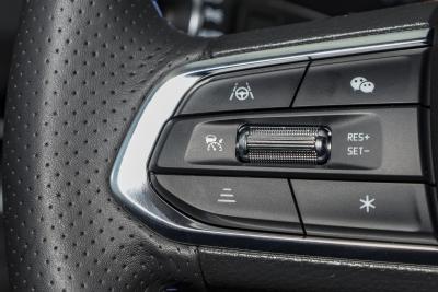 2025款 EcoBoost 170 铂领型-内饰-图片-有驾