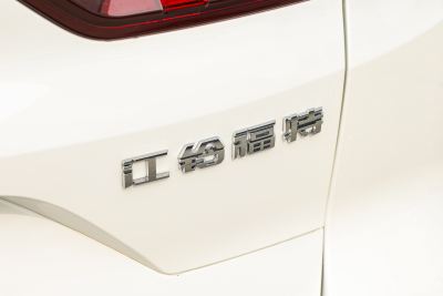 2025款 EcoBoost 170 铂领型-外观-图片-有驾