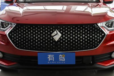 2019款 1.5T CVT 24小时在线豪华型-外观-图片-有驾