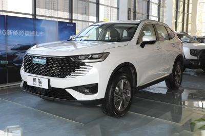 2023款 DHT-PHEV 55KM 悦行版-外观-图片-有驾