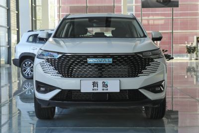 2023款 DHT-PHEV 55KM 悦行版-外观-图片-有驾