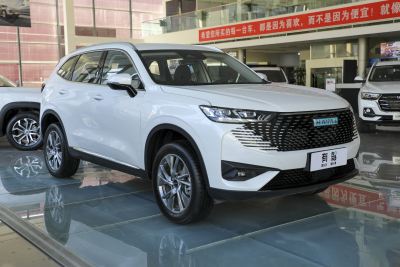 2023款 DHT-PHEV 55KM 悦行版-外观-图片-有驾