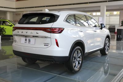 2023款 DHT-PHEV 55KM 悦行版-外观-图片-有驾