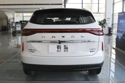 2023款 DHT-PHEV 55KM 悦行版-外观-图片-有驾