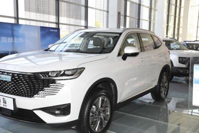 2023款 DHT-PHEV 55KM 悦行版-外观-图片-有驾