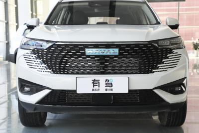2023款 DHT-PHEV 55KM 悦行版-外观-图片-有驾