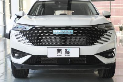 2023款 DHT-PHEV 55KM 悦行版-外观-图片-有驾