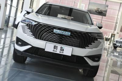 2023款 DHT-PHEV 55KM 悦行版-外观-图片-有驾