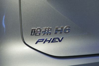 2023款 DHT-PHEV 55KM 悦行版-外观-图片-有驾