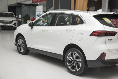 2021款 1.5L 特调版-外观-图片-有驾