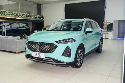2021款 1.5L 特调版-外观-图片-有驾