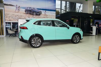 2021款 1.5L 特调版-外观-图片-有驾
