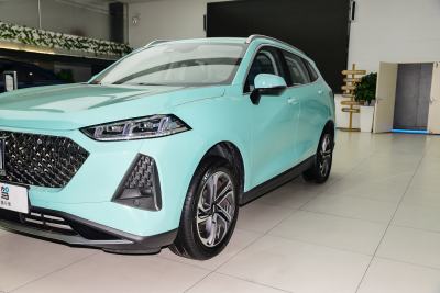 2021款 1.5L 特调版-外观-图片-有驾