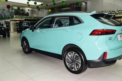 2021款 1.5L 特调版-外观-图片-有驾