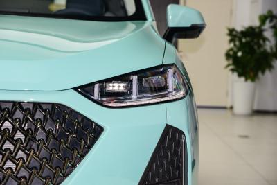 2021款 1.5L 特调版-外观-图片-有驾