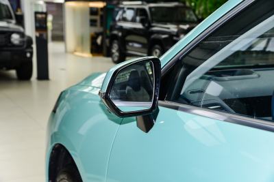 2021款 1.5L 特调版-外观-图片-有驾