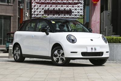 2025款 330km 自由版-外观-图片-有驾