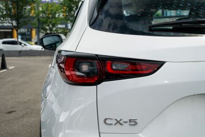 2025款 2.0L 自动两驱智雅Pro-外观-图片-有驾