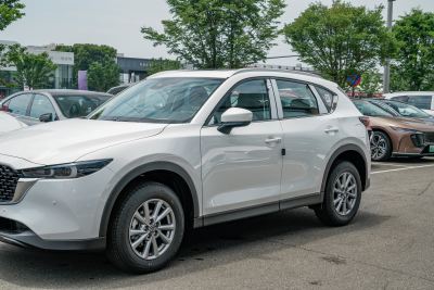 2025款 2.0L 自动两驱智雅Pro-外观-图片-有驾