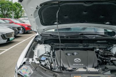 2025款 2.0L 自动两驱智雅Pro-外观-图片-有驾