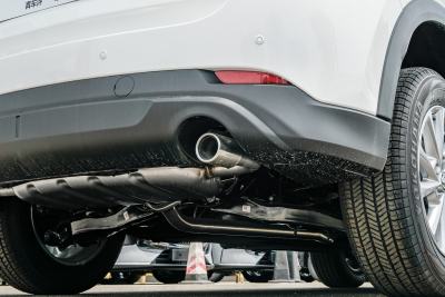 2025款 2.0L 自动两驱智雅Pro-外观-图片-有驾