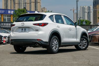 2025款 2.0L 自动两驱智雅Pro-外观-图片-有驾