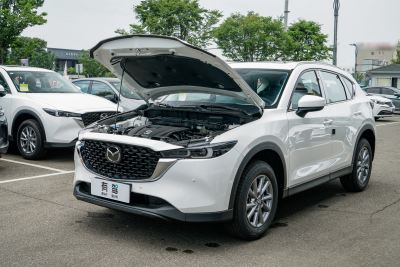 2025款 2.0L 自动两驱智雅Pro-外观-图片-有驾