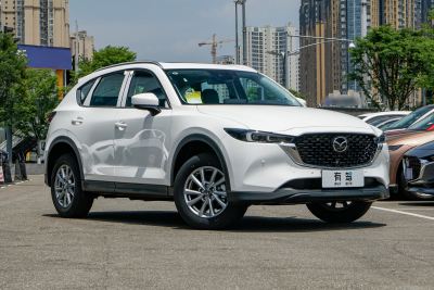 2025款 2.0L 自动两驱智雅Pro-外观-图片-有驾