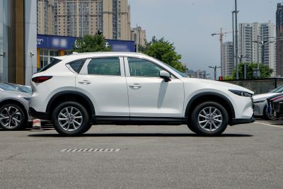 2025款 2.0L 自动两驱智雅Pro-外观-图片-有驾
