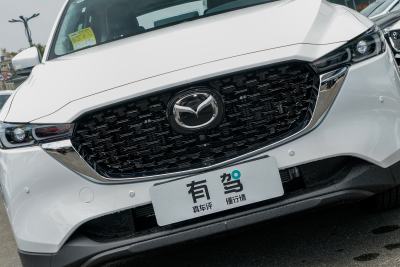2025款 2.0L 自动两驱智雅Pro-外观-图片-有驾