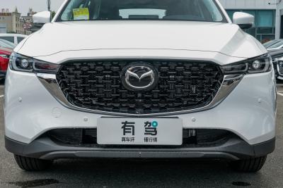 2025款 2.0L 自动两驱智雅Pro-外观-图片-有驾