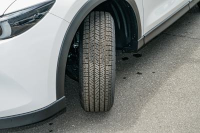 2025款 2.0L 自动两驱智雅Pro-外观-图片-有驾