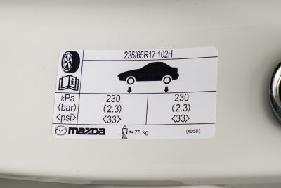 2025款 2.0L 自动两驱智雅Pro-外观-图片-有驾
