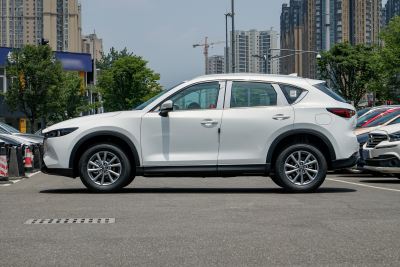 2025款 2.0L 自动两驱智雅Pro-外观-图片-有驾