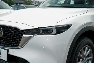 2025款 2.0L 自动两驱智雅Pro-外观-图片-有驾