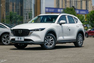 2025款 2.0L 自动两驱智雅Pro-外观-图片-有驾