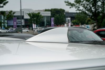 2025款 2.0L 自动两驱智雅Pro-外观-图片-有驾