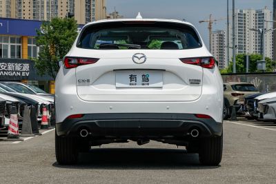 2025款 2.0L 自动两驱智雅Pro-外观-图片-有驾