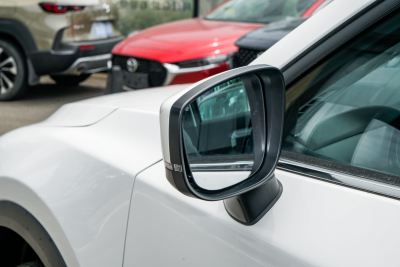 2025款 2.0L 自动两驱智雅Pro-外观-图片-有驾